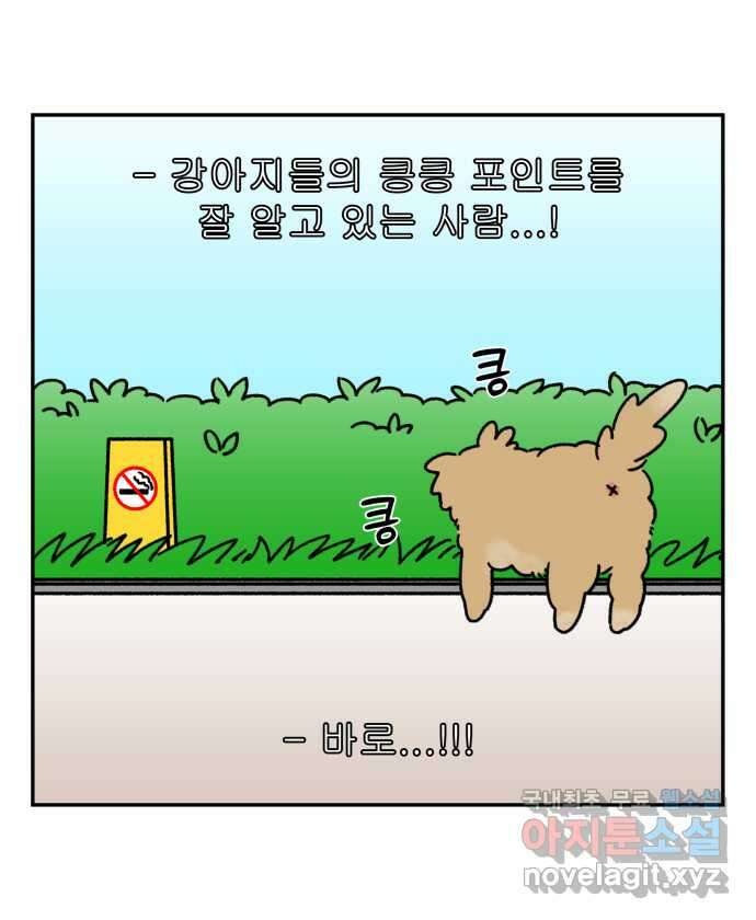 강아지는 멍멍하고 짖지 않아! 34화 - 위험한 길거리 2 2