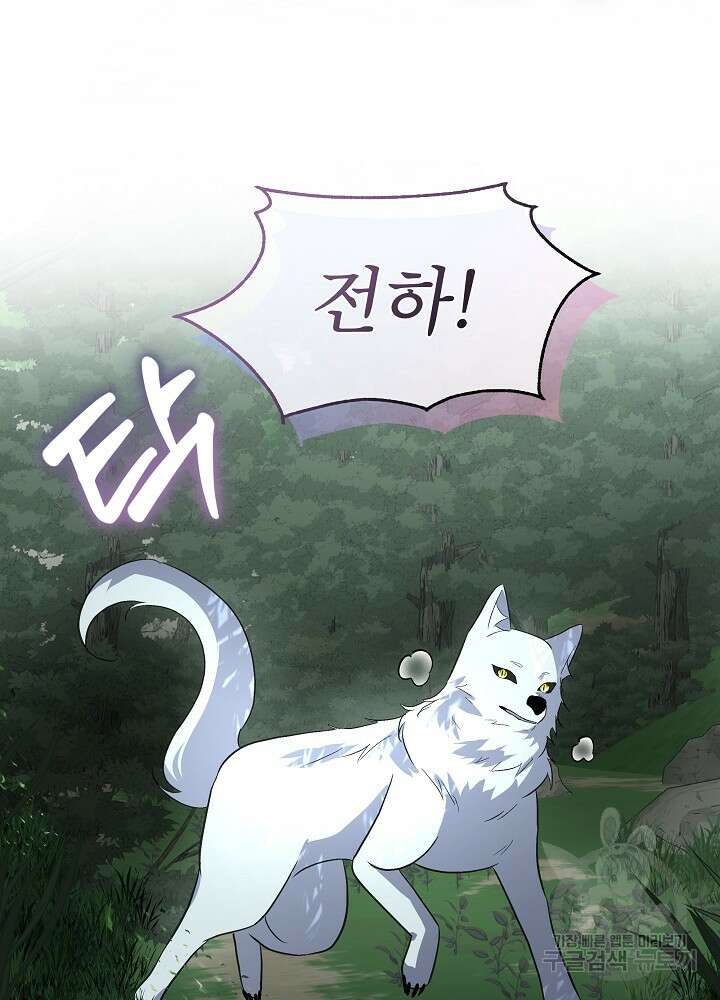 남주를 임시보호 중입니다 46화 43