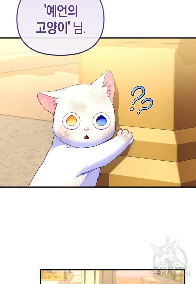 술탄의 귀한 고양이가 되었습니다 3화 3
