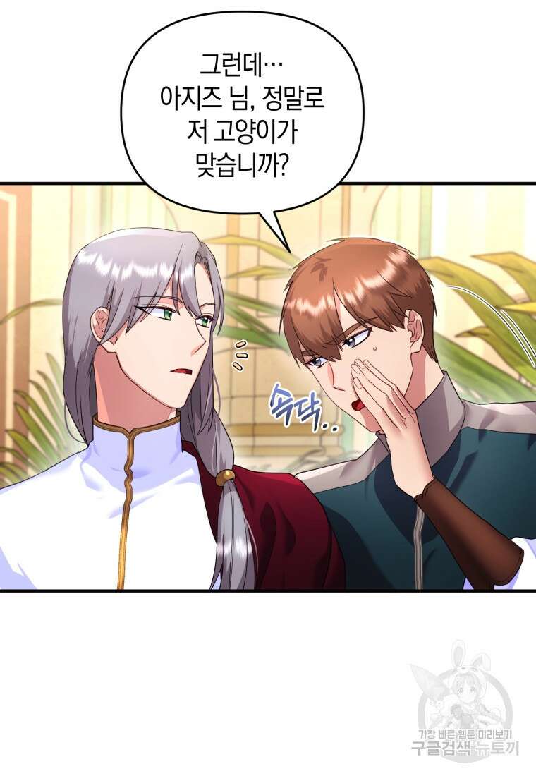 술탄의 귀한 고양이가 되었습니다 3화 5