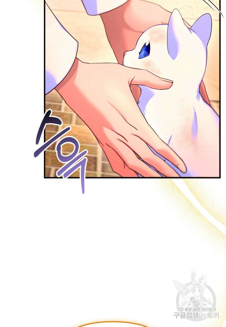 술탄의 귀한 고양이가 되었습니다 3화 9