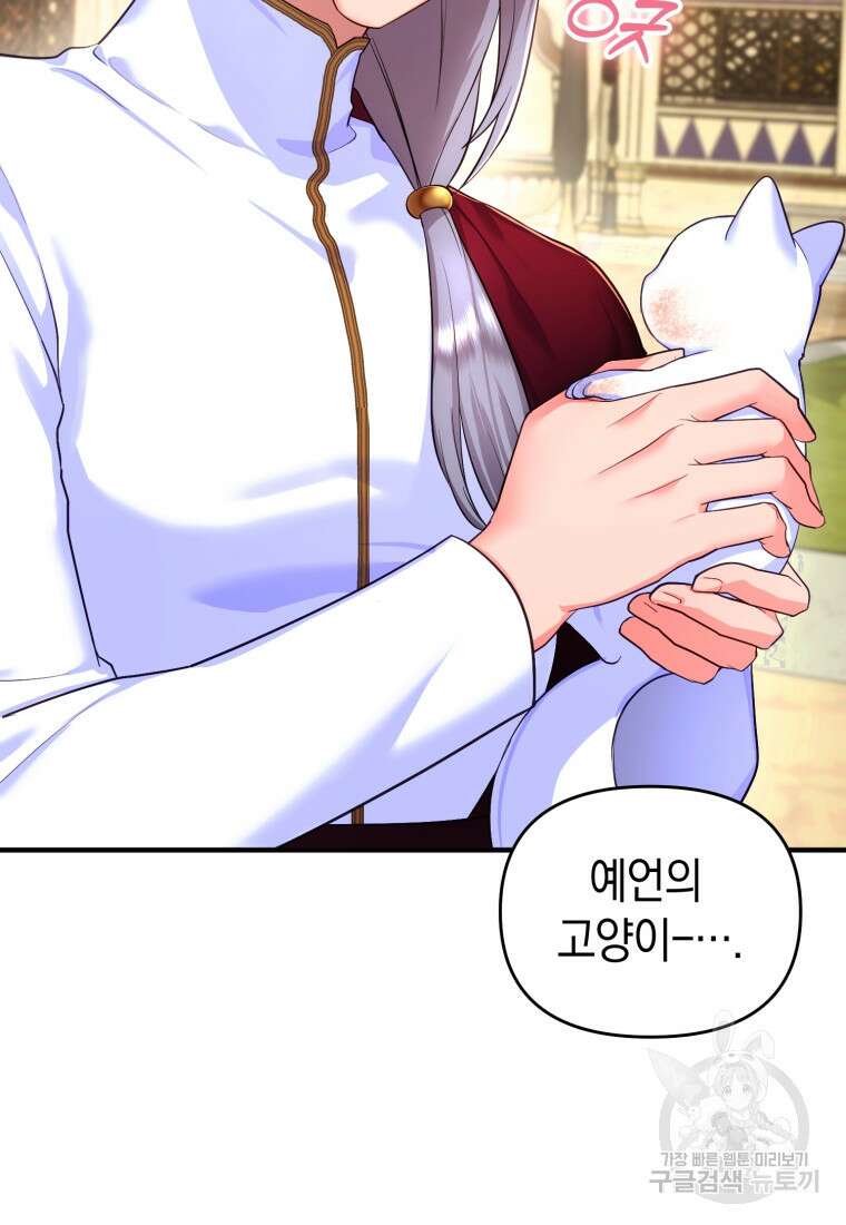 술탄의 귀한 고양이가 되었습니다 3화 14
