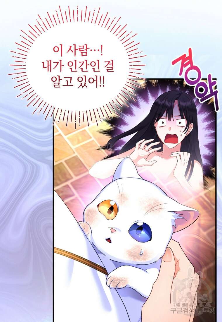 술탄의 귀한 고양이가 되었습니다 3화 18