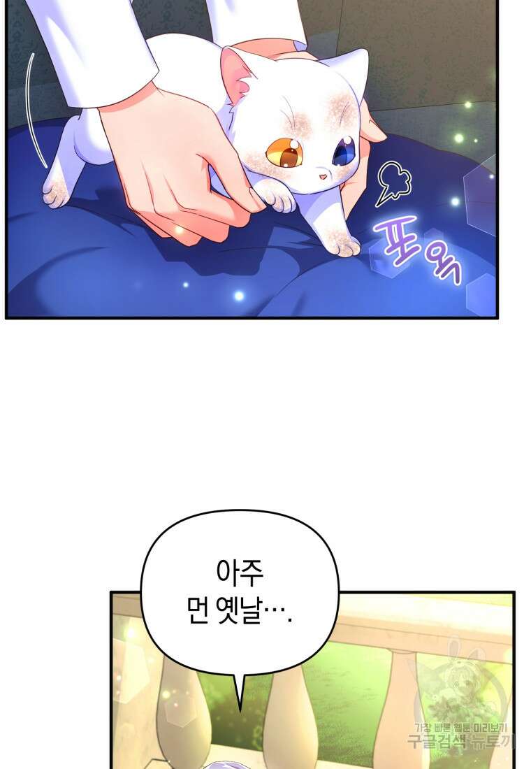 술탄의 귀한 고양이가 되었습니다 3화 21
