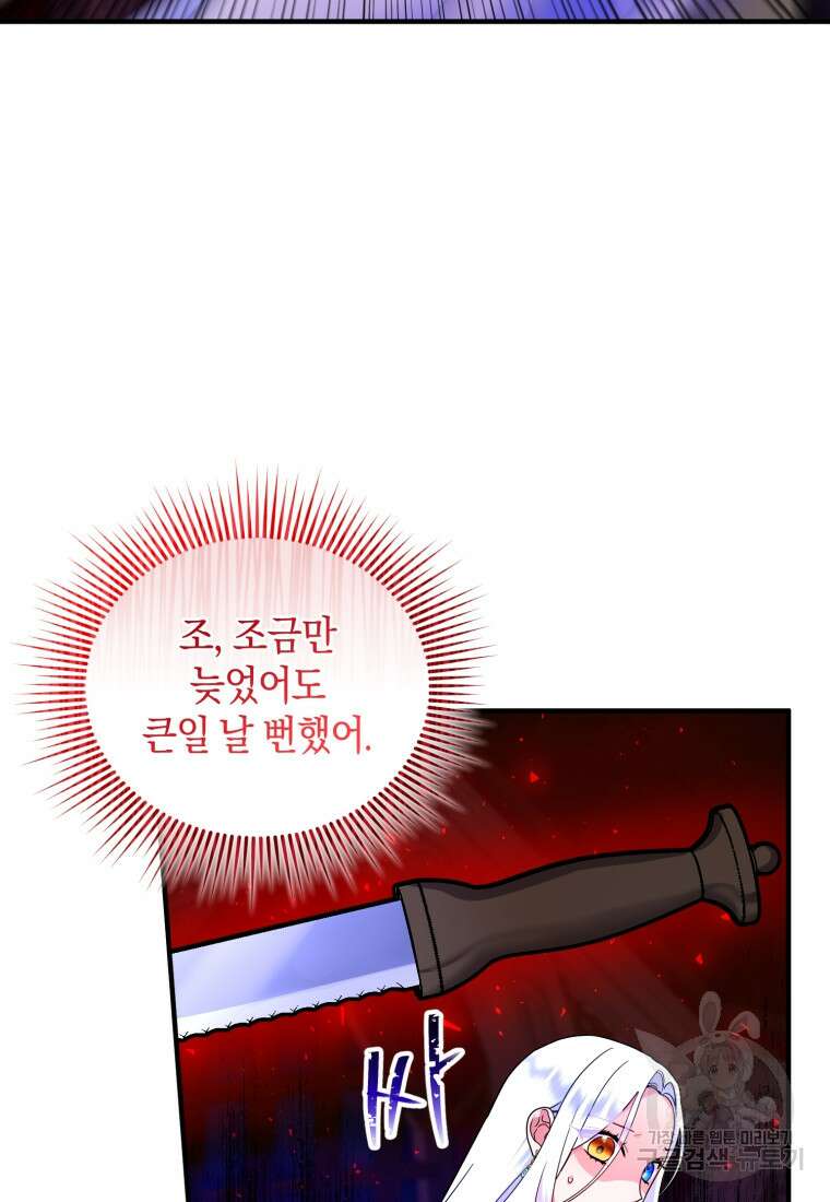 술탄의 귀한 고양이가 되었습니다 12화 15