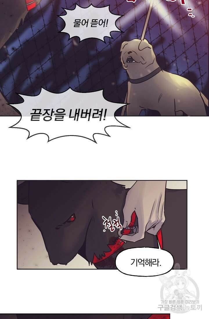 골판지 상자 안 고양이씨 시즌2 15화 4