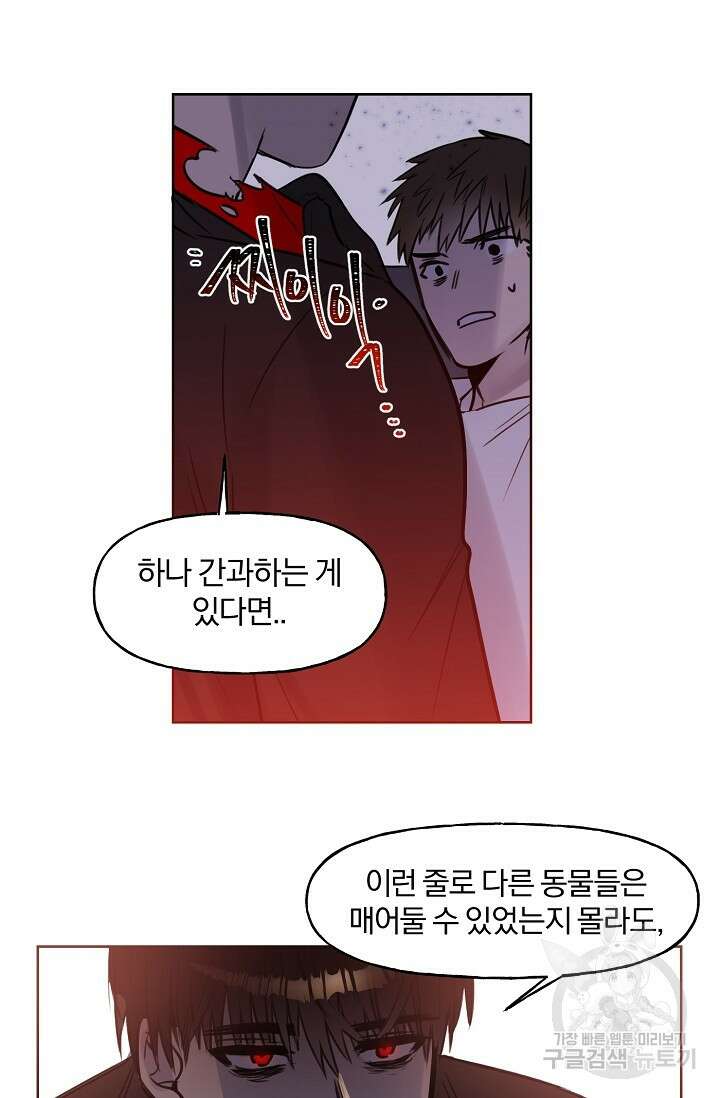 골판지 상자 안 고양이씨 시즌2 15화 13