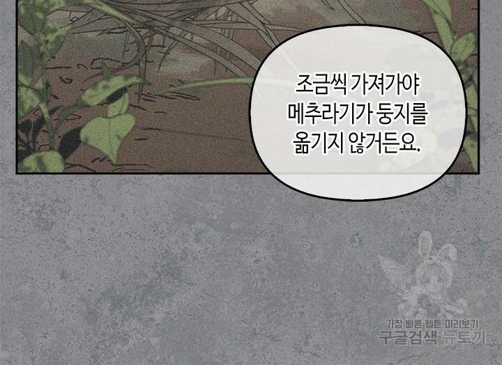 레가스 9화 23