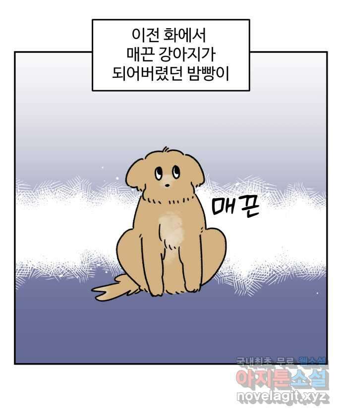 강아지는 멍멍하고 짖지 않아! 44화 - 강아지의 변신 1
