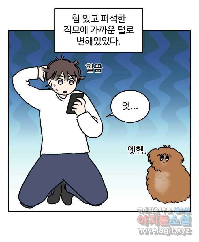강아지는 멍멍하고 짖지 않아! 44화 - 강아지의 변신 8