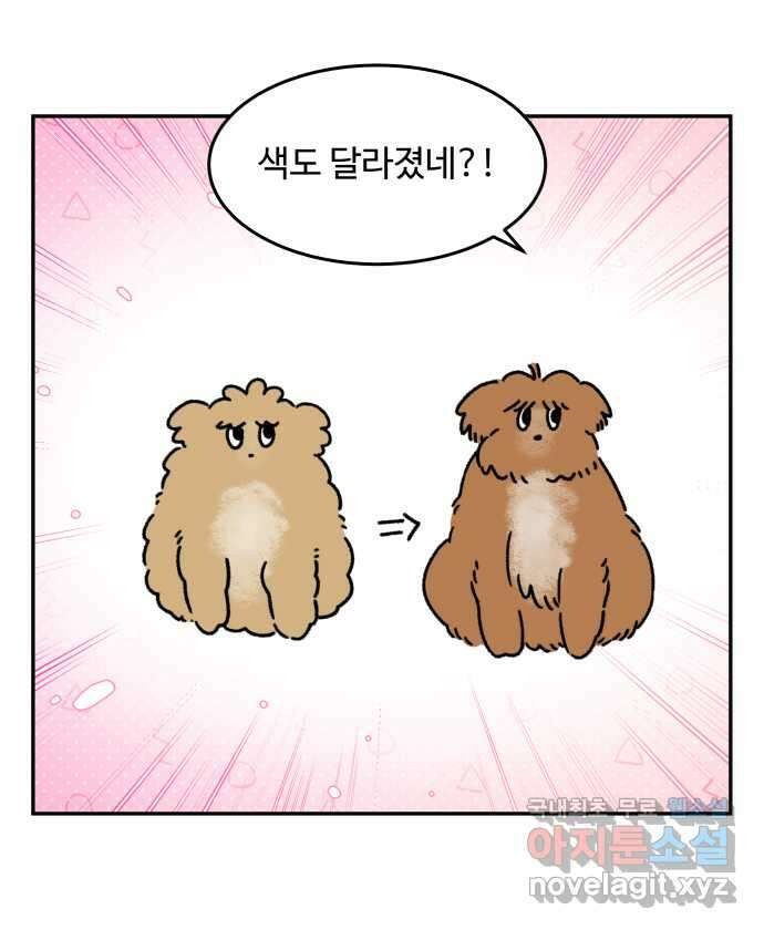 강아지는 멍멍하고 짖지 않아! 44화 - 강아지의 변신 9