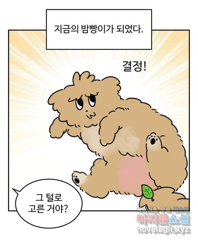 강아지는 멍멍하고 짖지 않아! 44화 - 강아지의 변신 18