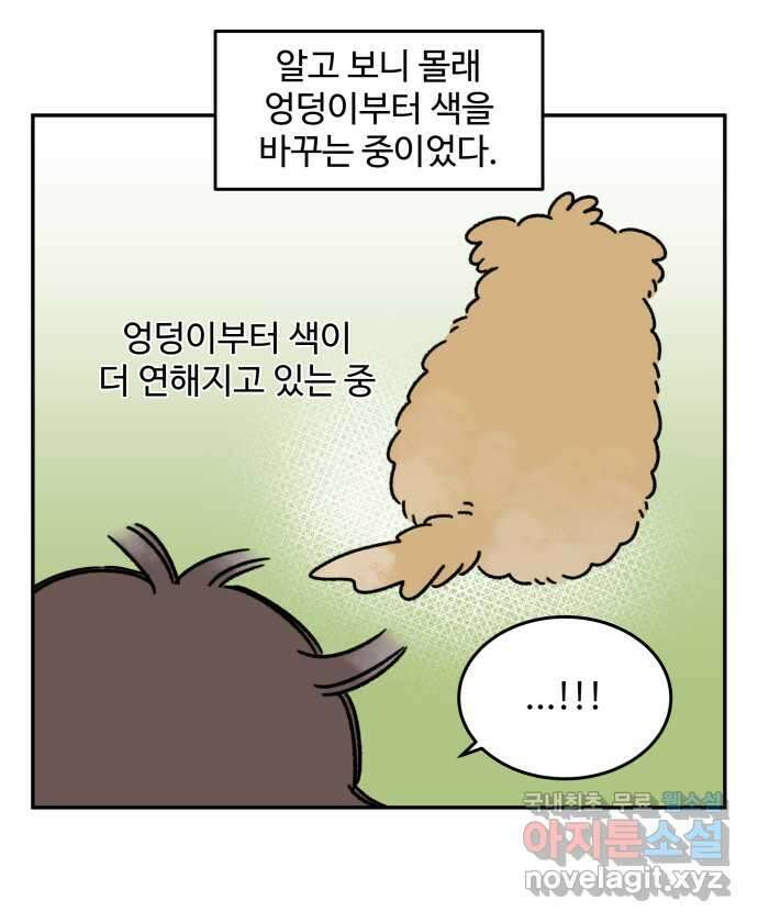 강아지는 멍멍하고 짖지 않아! 44화 - 강아지의 변신 20