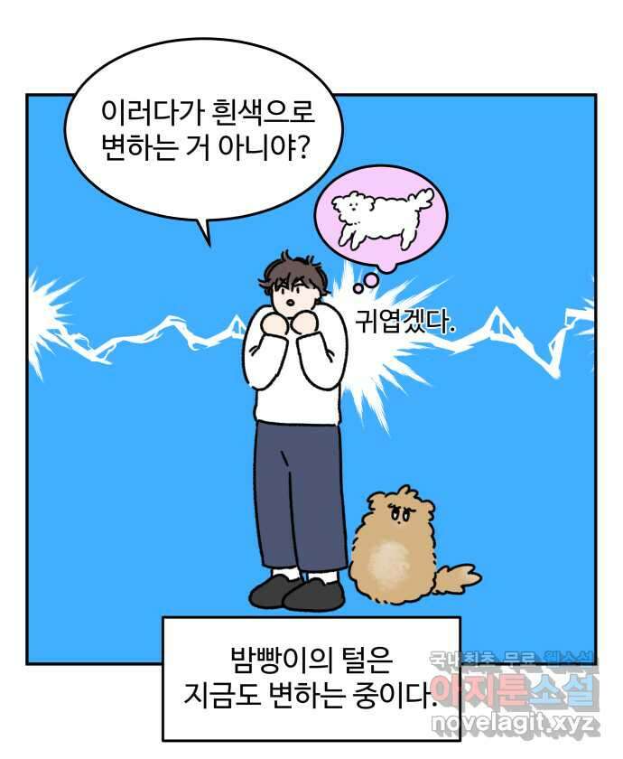 강아지는 멍멍하고 짖지 않아! 44화 - 강아지의 변신 21
