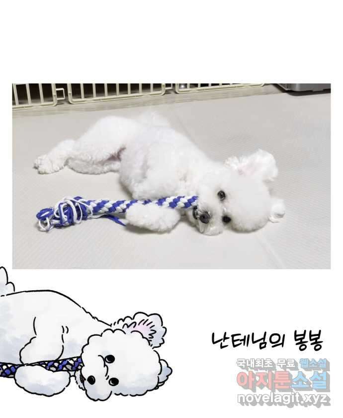 강아지는 멍멍하고 짖지 않아! 44화 - 강아지의 변신 23