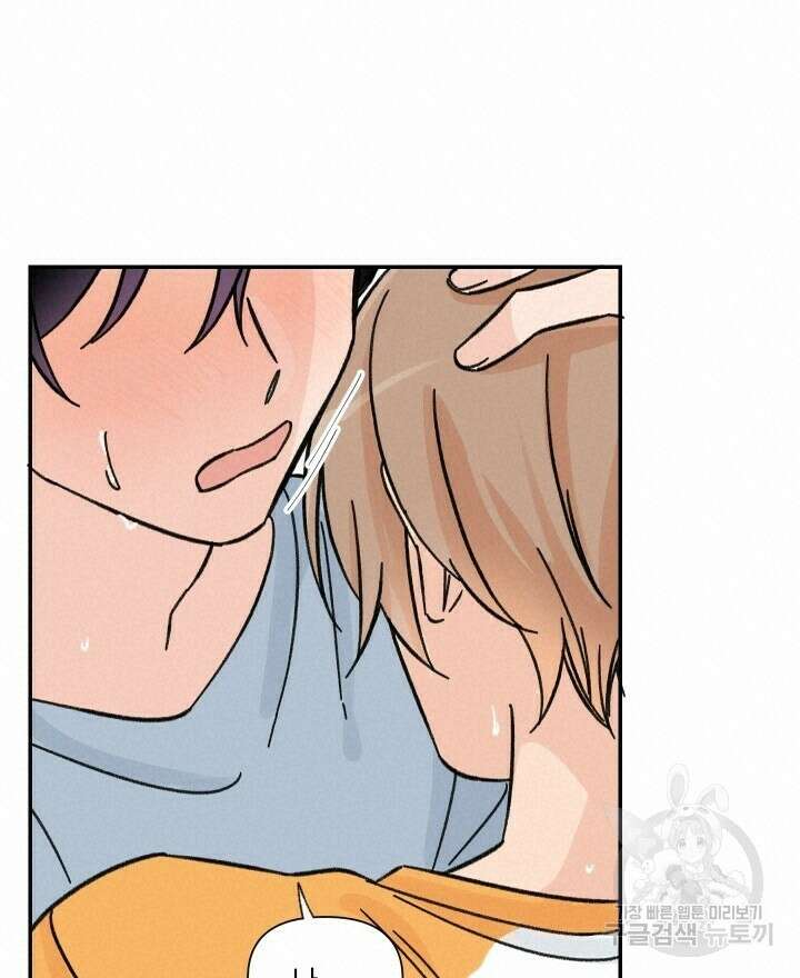 꽃을 기다리는 나비 34화 36