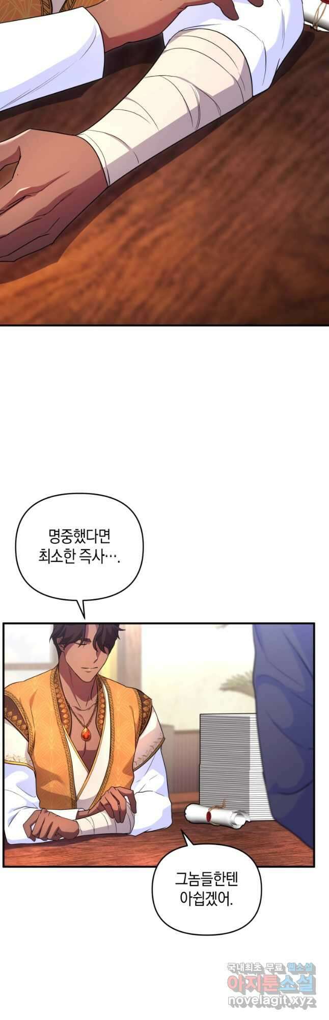 술탄의 귀한 고양이가 되었습니다 29화 11