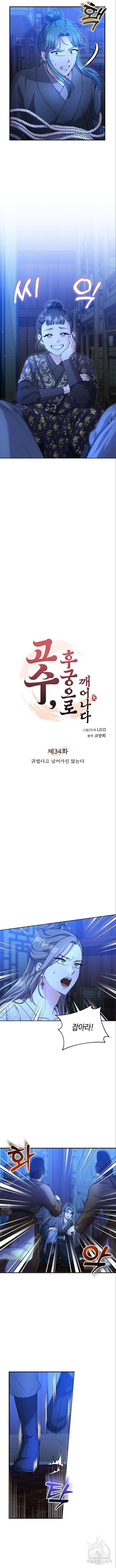 고수, 후궁으로 깨어나다 34화 5