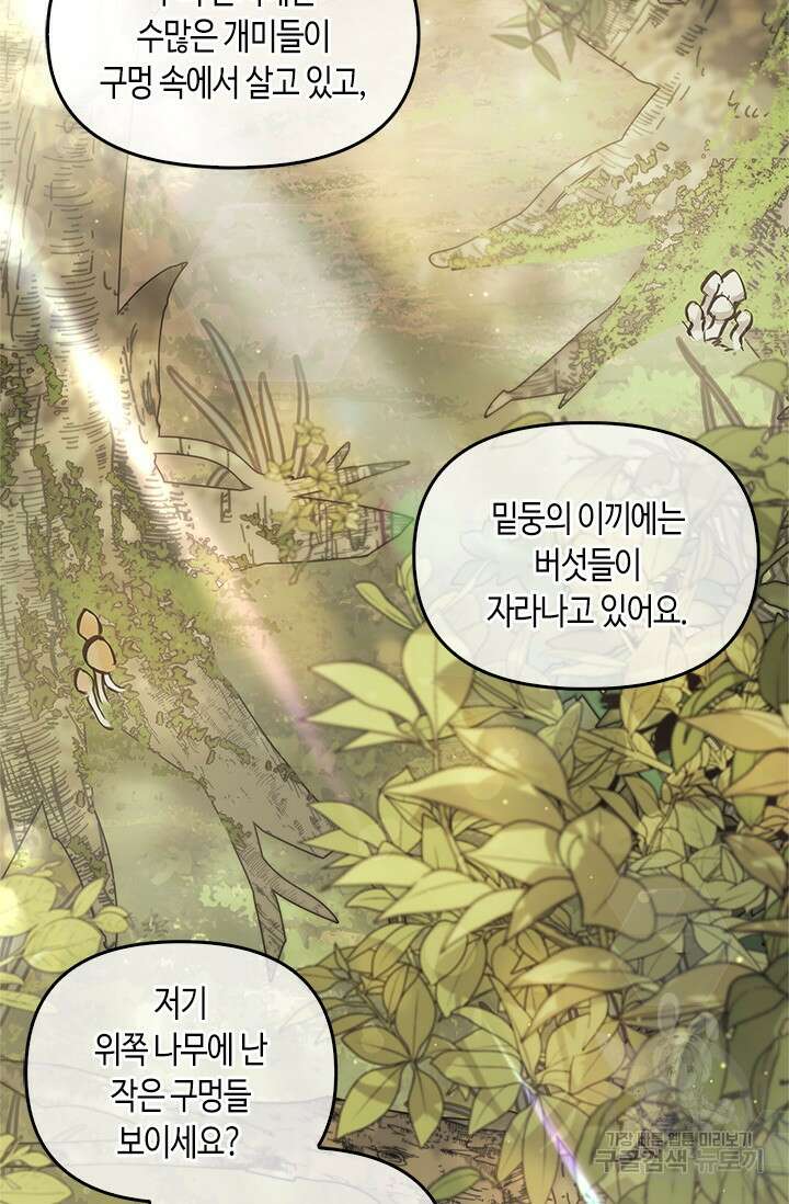 레가스 12화 64