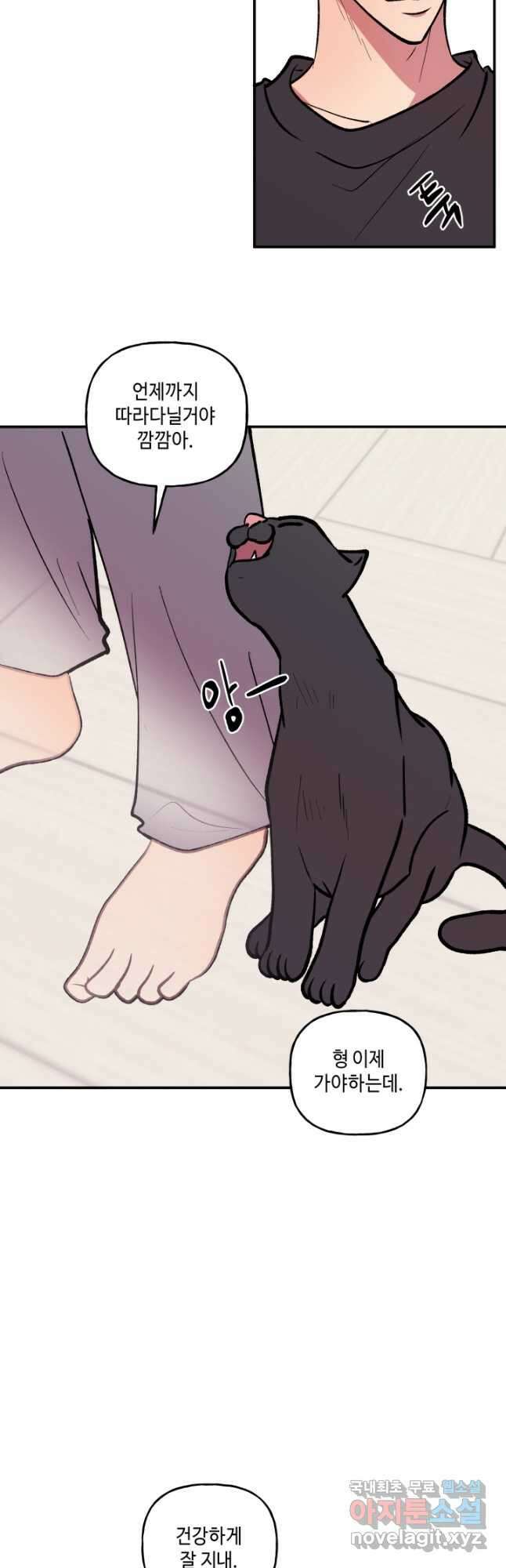 어른이 완결 후기 37