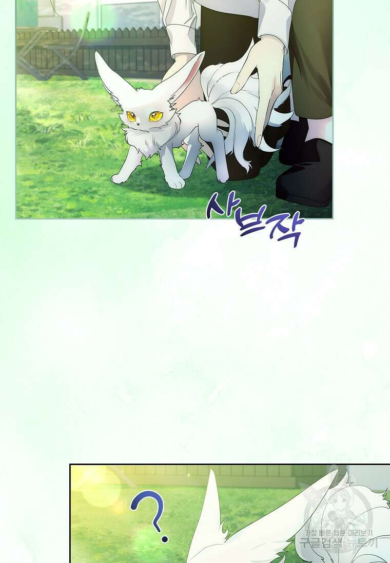 구미호를 잘못 키웠다 12화 13