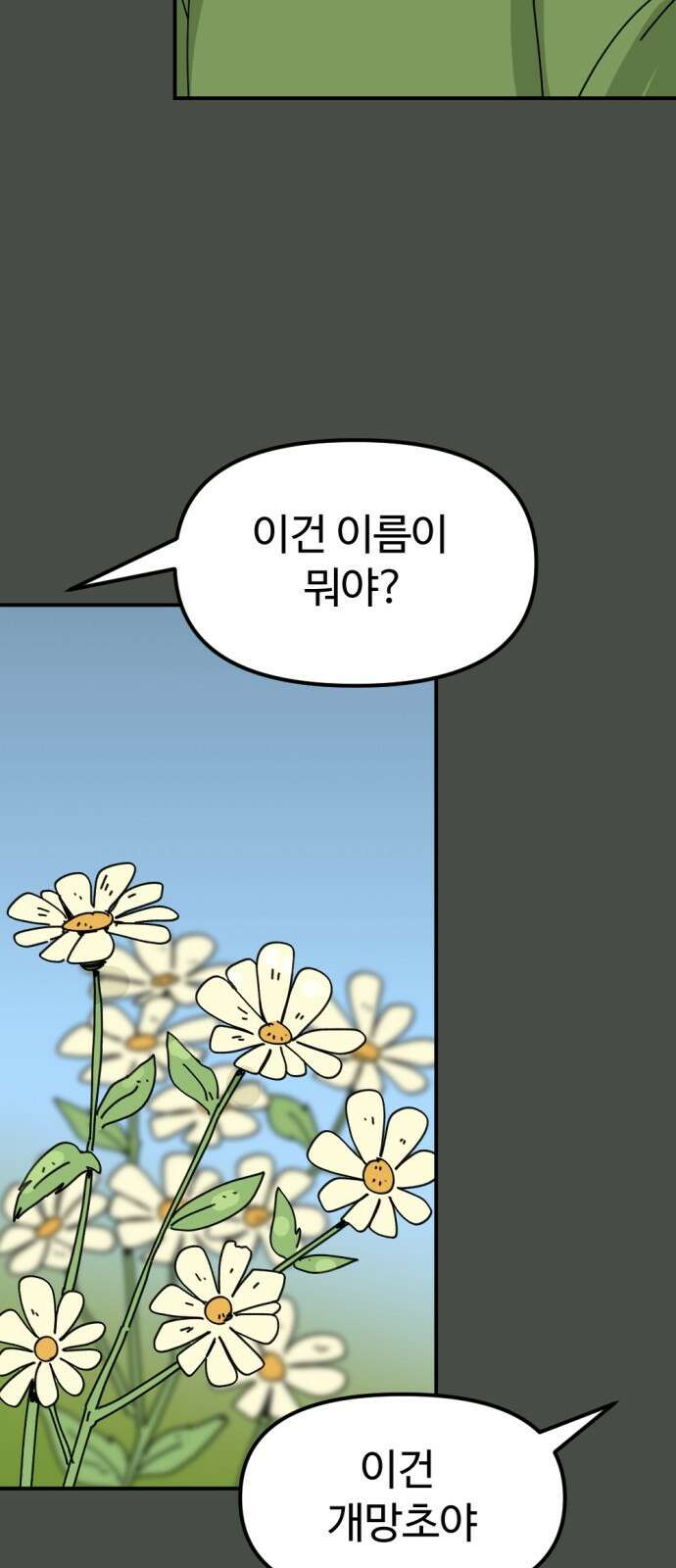 뼈왕 15. 프란포기의 과거 38