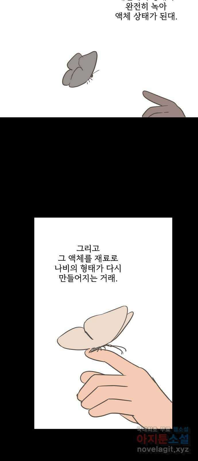 합법해적 파르페 209화 [번데기의 꿈] 11
