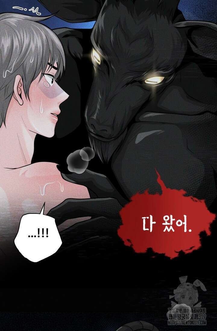 갓츄! 아일랜드 1화 15