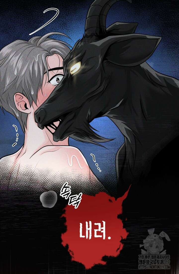 갓츄! 아일랜드 1화 16