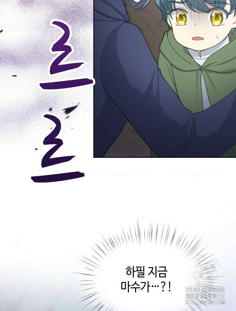 재투성이 소녀는 빛의 공녀님 32화 87