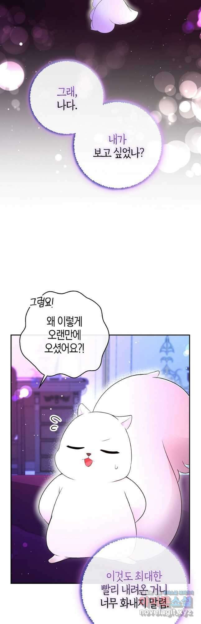 아기 다람쥐가 다 잘해요 74화 2