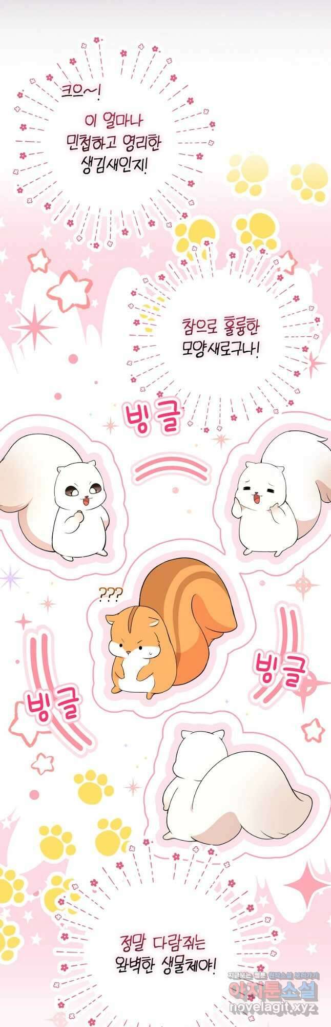 아기 다람쥐가 다 잘해요 74화 14