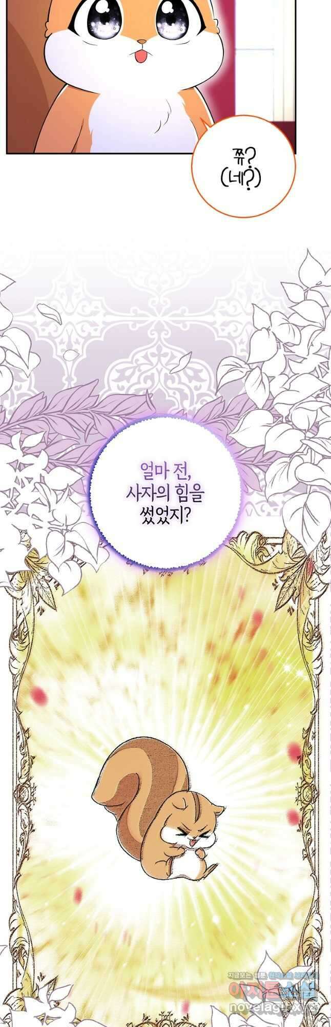아기 다람쥐가 다 잘해요 74화 16