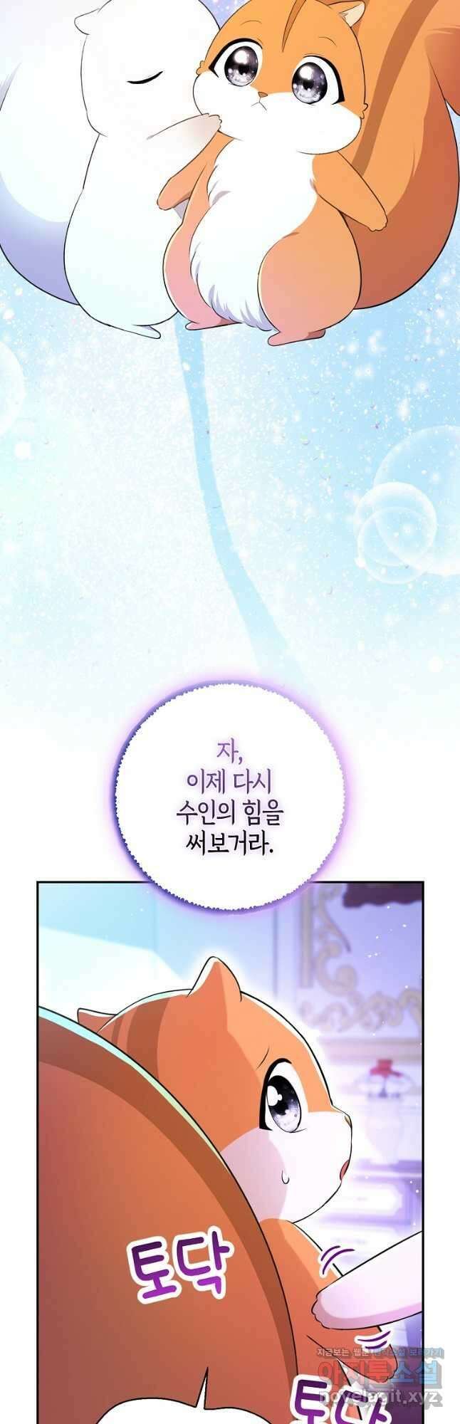 아기 다람쥐가 다 잘해요 74화 19