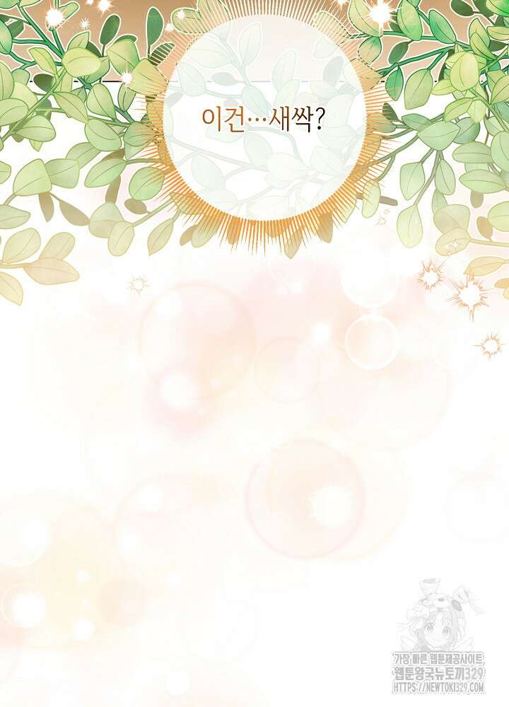 첫 키스는 계획적으로 13화 12