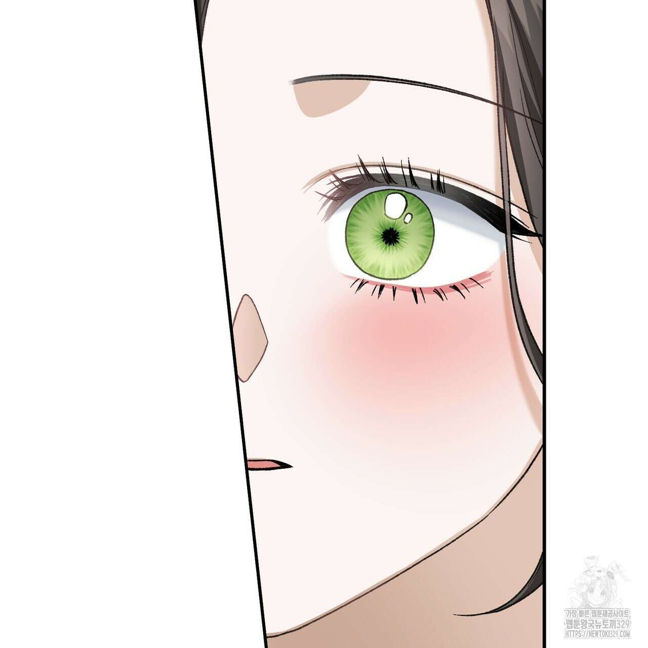 정부는 도망친다 74화 15