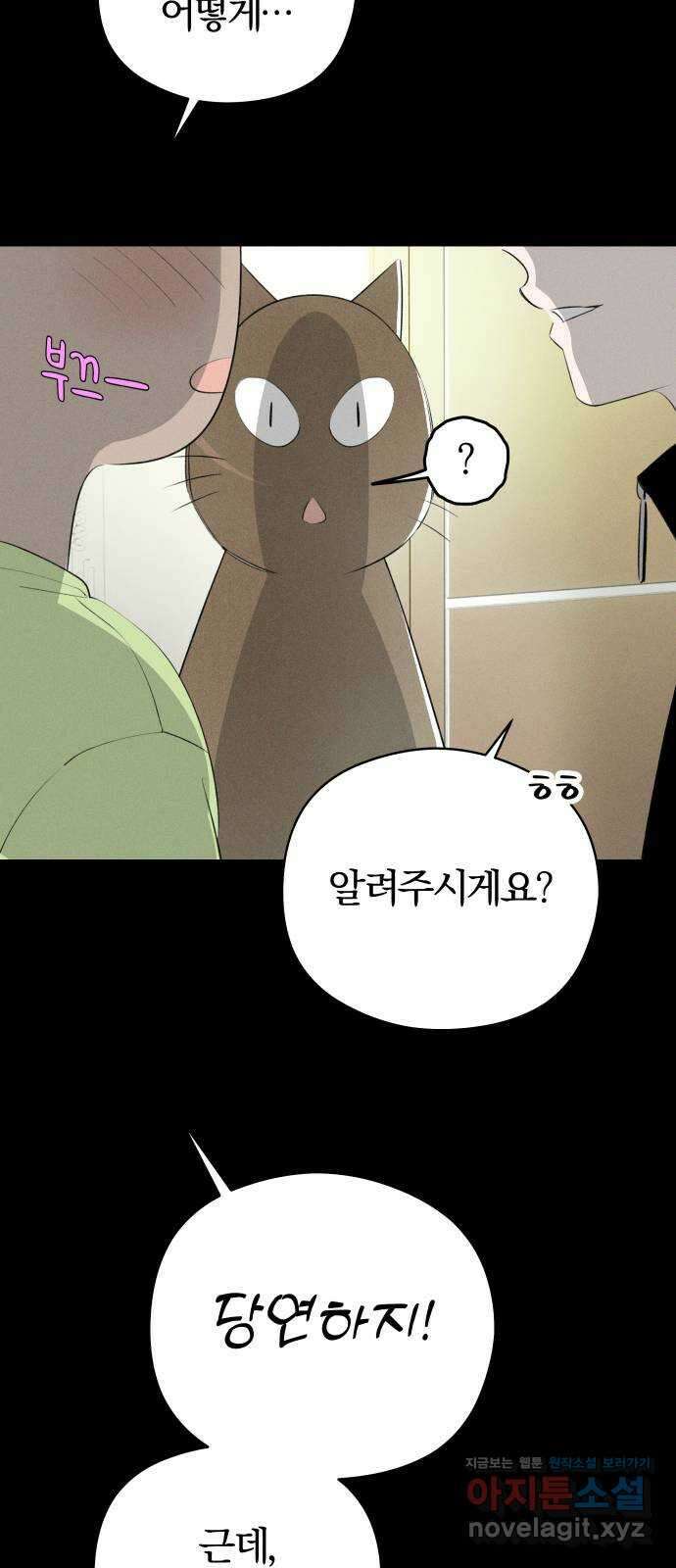 토마토가 돼라! 54화 : 고백 대작전 (4) 9