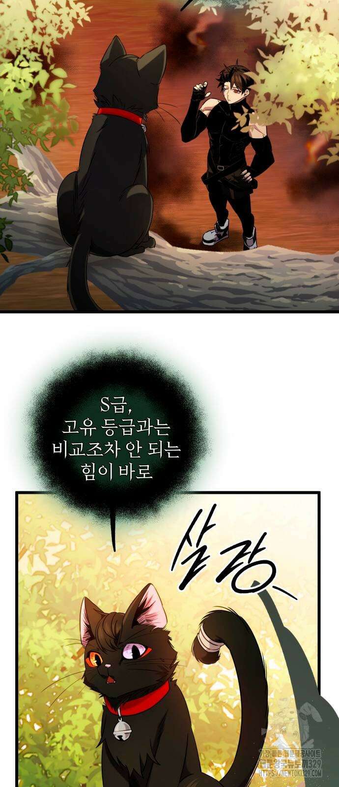 신화급 귀속 아이템을 손에 넣었다 2부 15화 40
