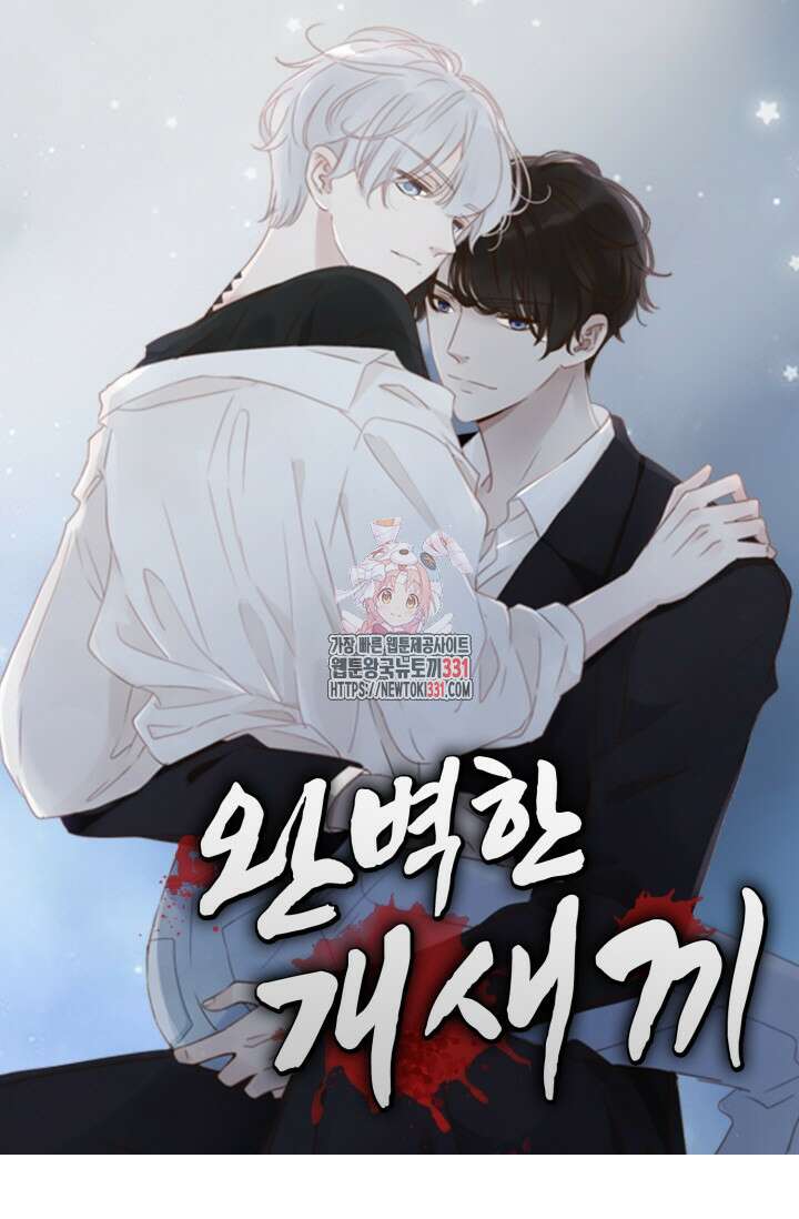 완벽한 개새끼 19화 1