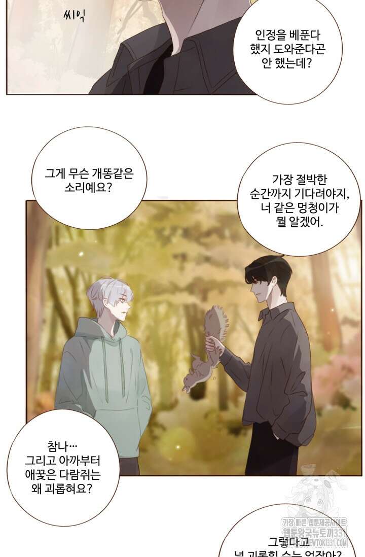 완벽한 개새끼 19화 5