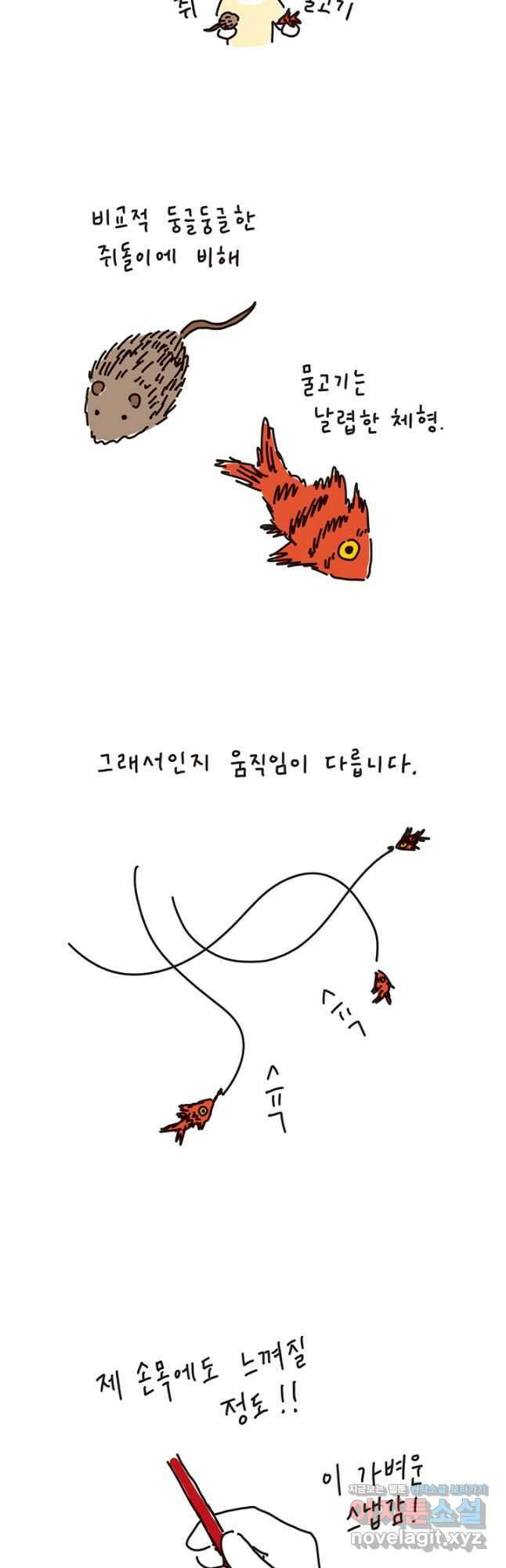 은동은동+옹동스 은동은동 은동구리 108화. 마지막 금붕어 사건 5