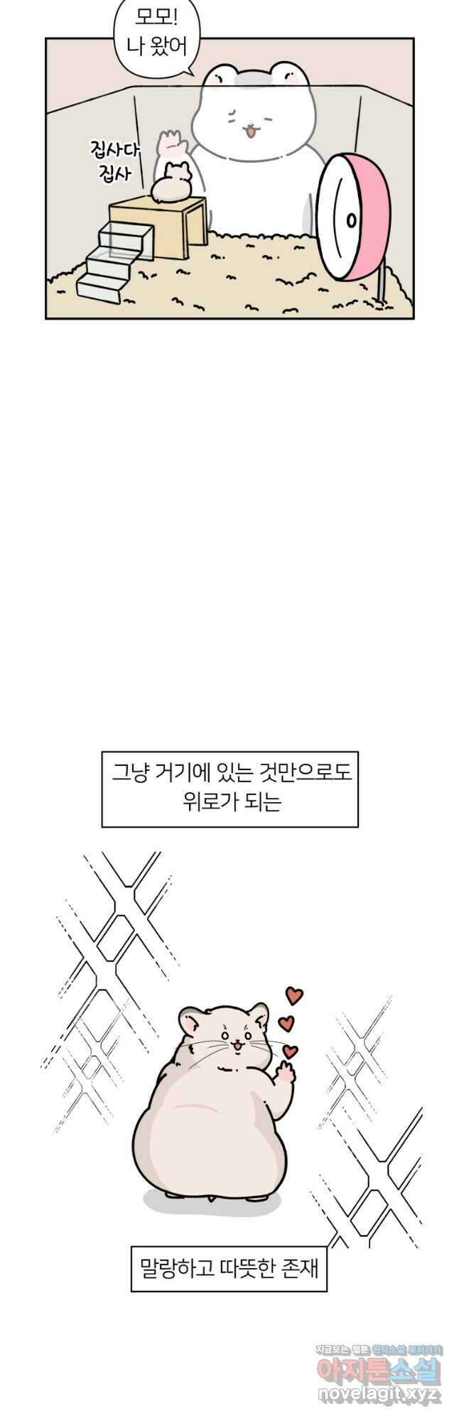 어쩌다 햄스터 4. 햄스터씨 이사가다 4