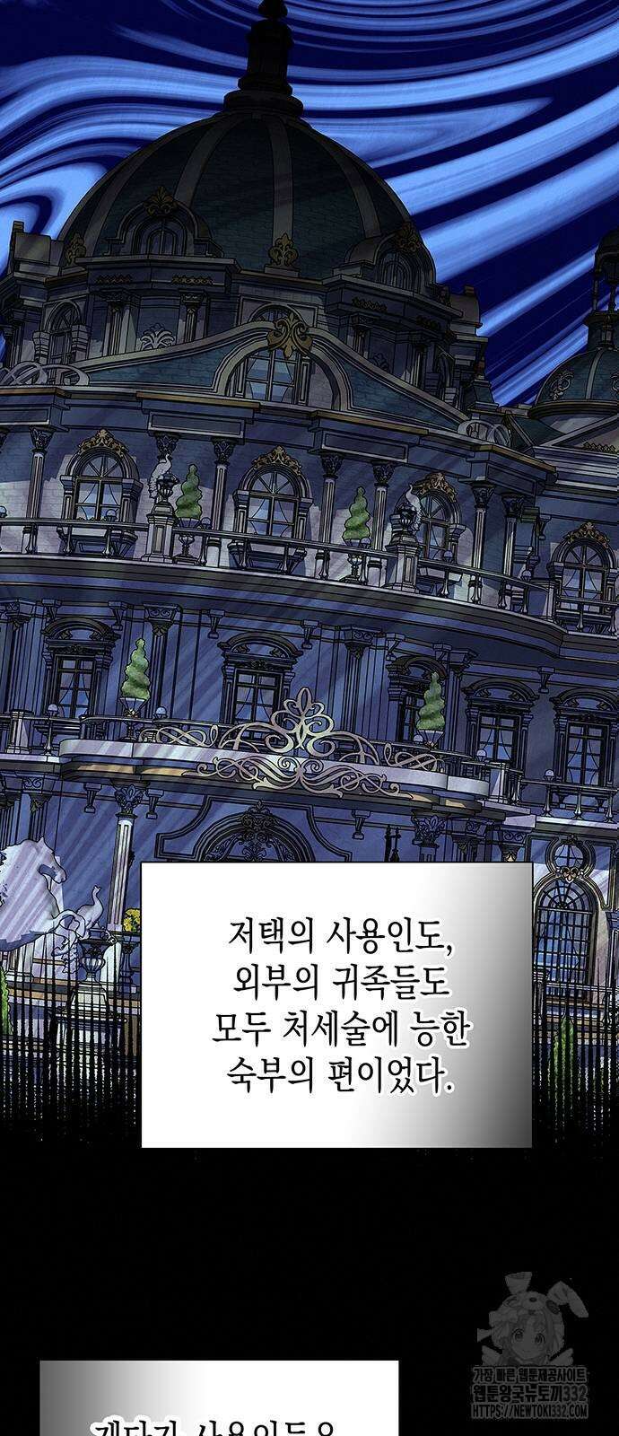 아무래도 결혼을 잘못한 것 같다 31화 32