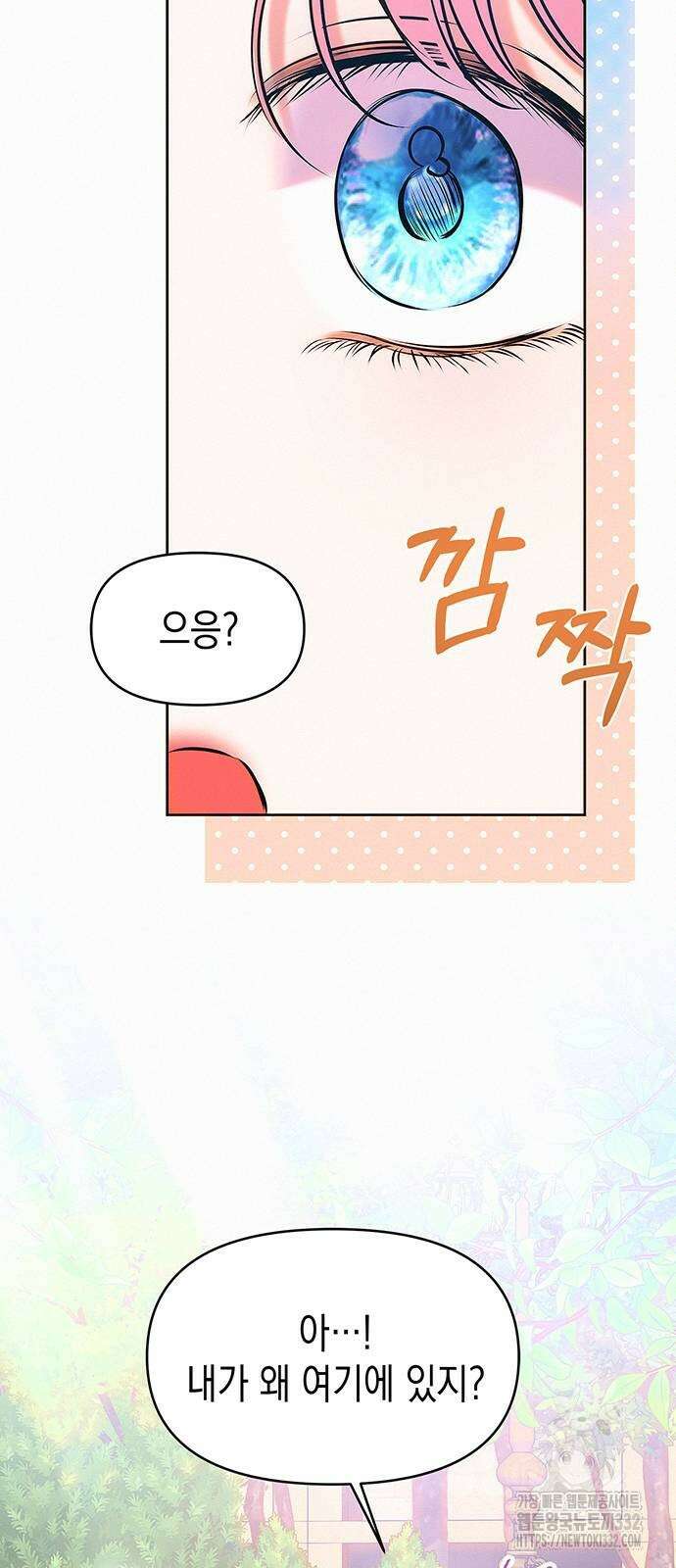 아무래도 결혼을 잘못한 것 같다 31화 51