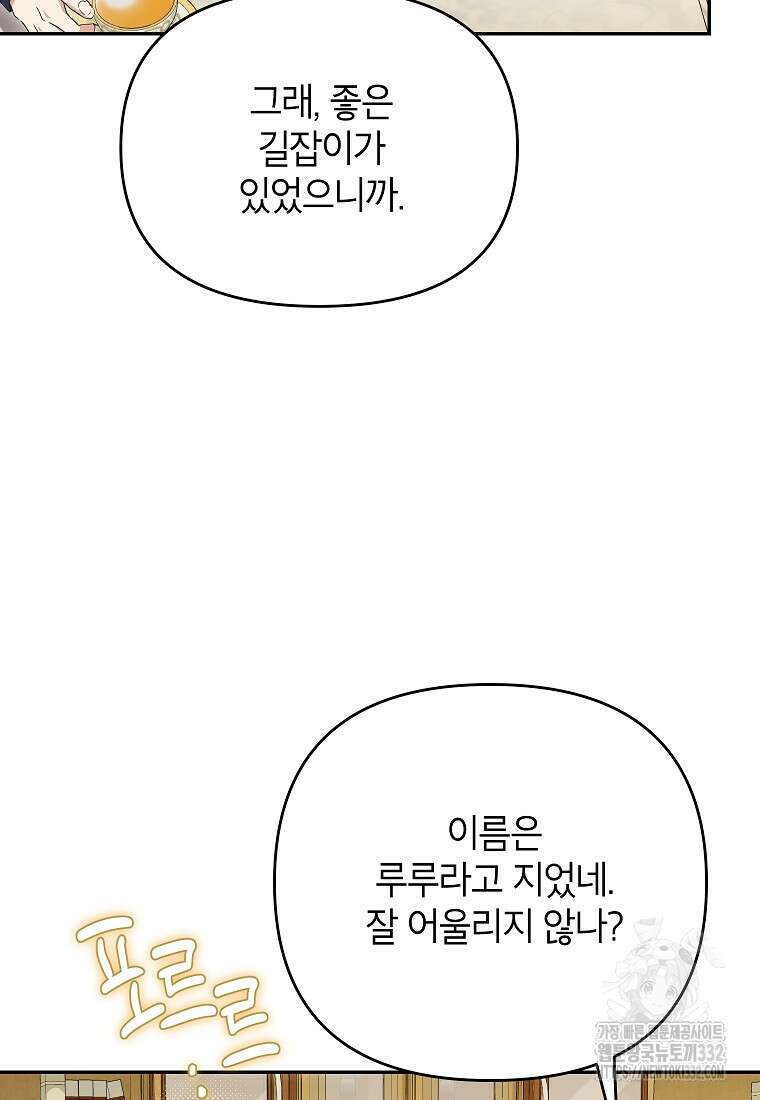 제니스 77화 15