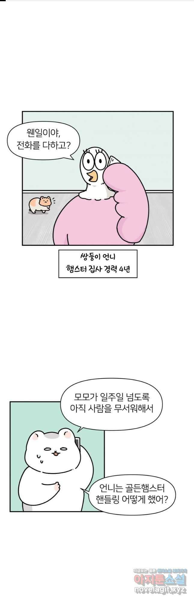 어쩌다 햄스터 5. 핸들링을 해보자 1