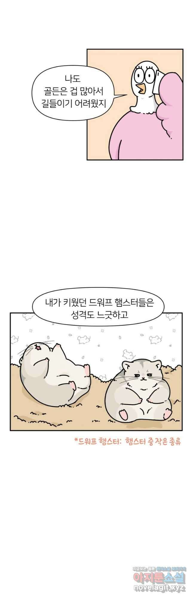 어쩌다 햄스터 5. 핸들링을 해보자 2