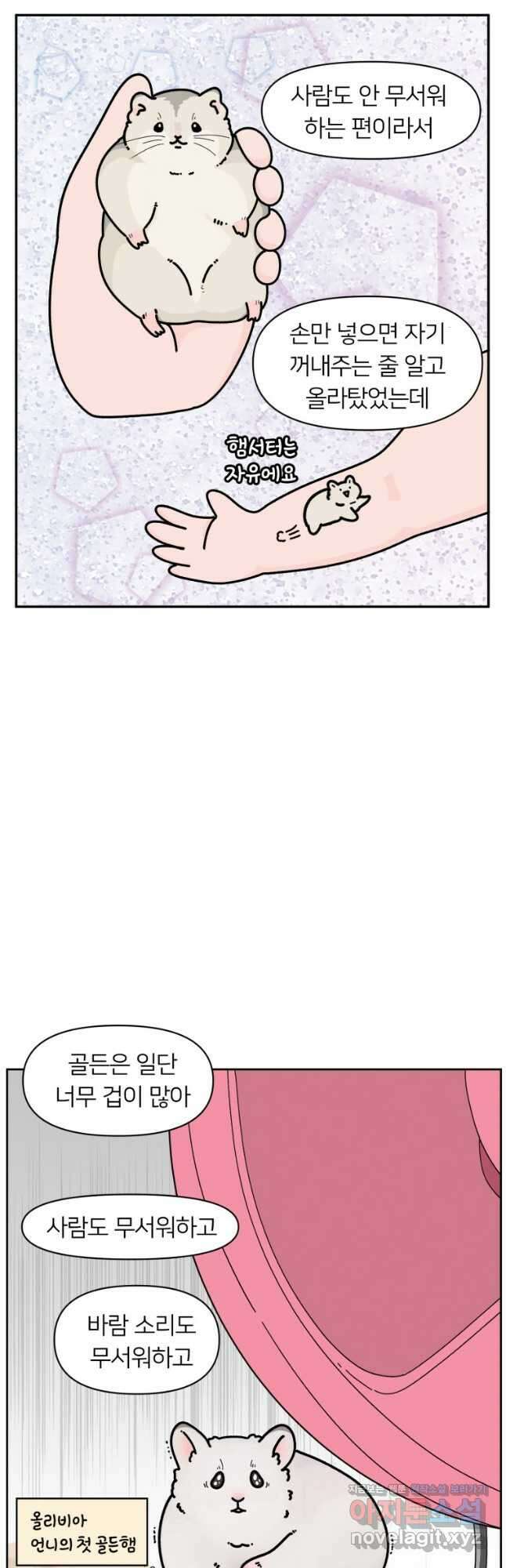어쩌다 햄스터 5. 핸들링을 해보자 3