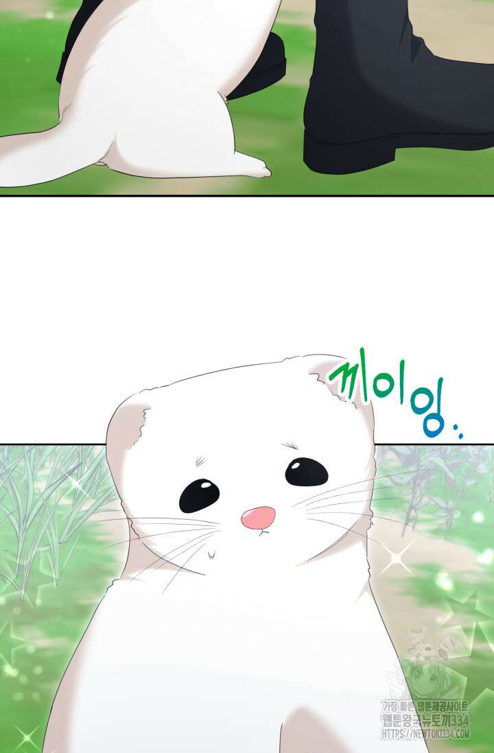 레이디는 싫습니다 24화 10