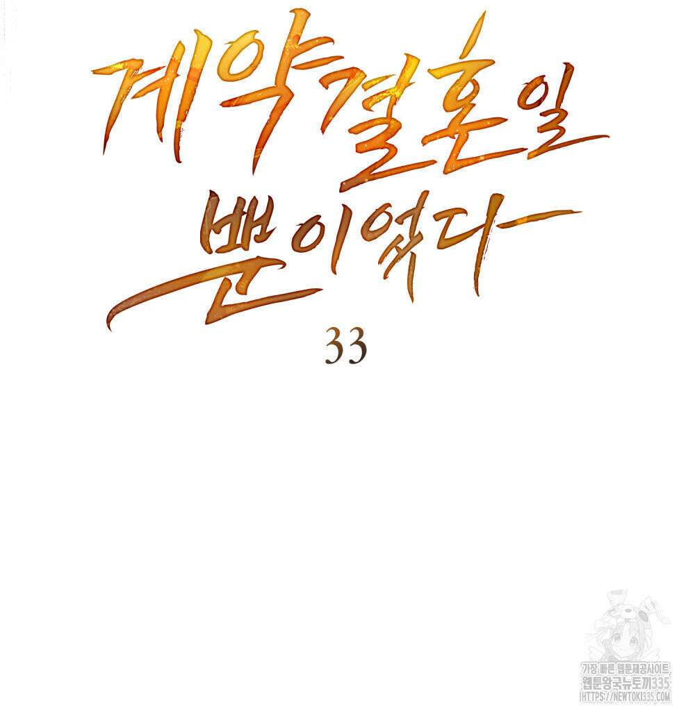 계약 결혼일 뿐이었다 33화 13